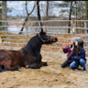 Meet your Posher, Angela